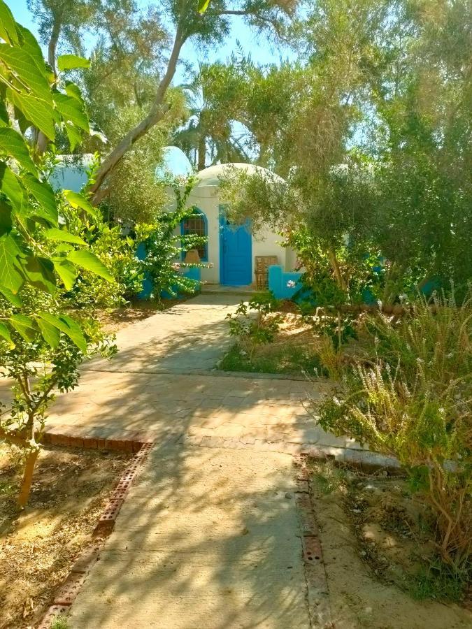 Siwa Oasis Panta Lodge Siwa المظهر الخارجي الصورة